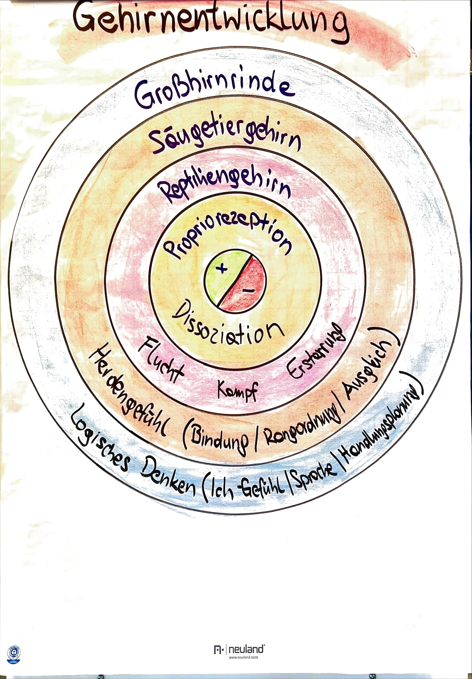 Flipchart: Gehirnentwicklung – Propriozeption (Dissoziation), Reptiliengehirn (Flucht, Kampf, Erstarrung), Säugetiergehirn (Herdengefühl: Bindung, Rangordnung, Ausgleich), Großhirnrinde (logisches Denken: Ich-Gefühl, Sprache, Handlungsplanung)