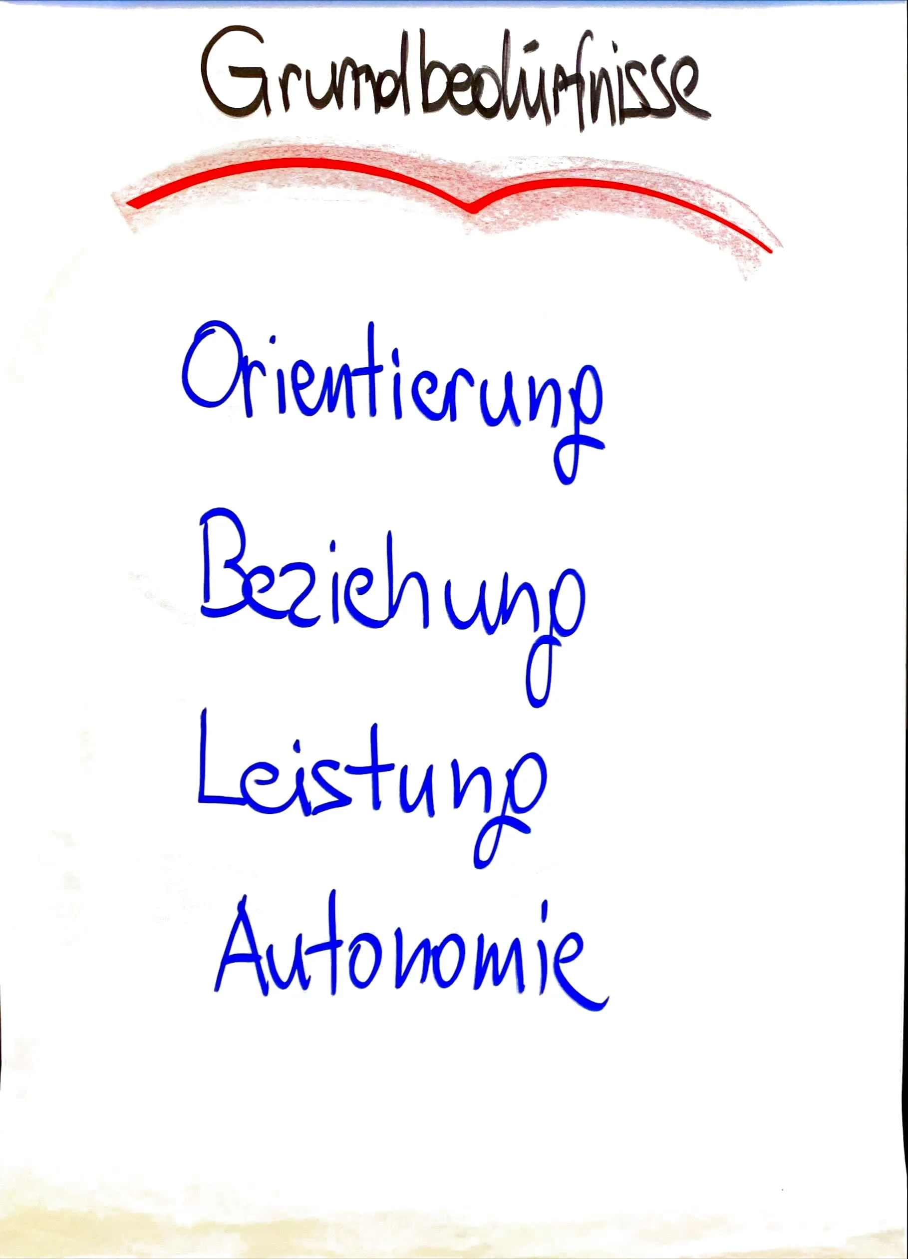 Flipchart: Grundbedürfnisse – Orientierung, Beziehung, Leistung, Autonomie