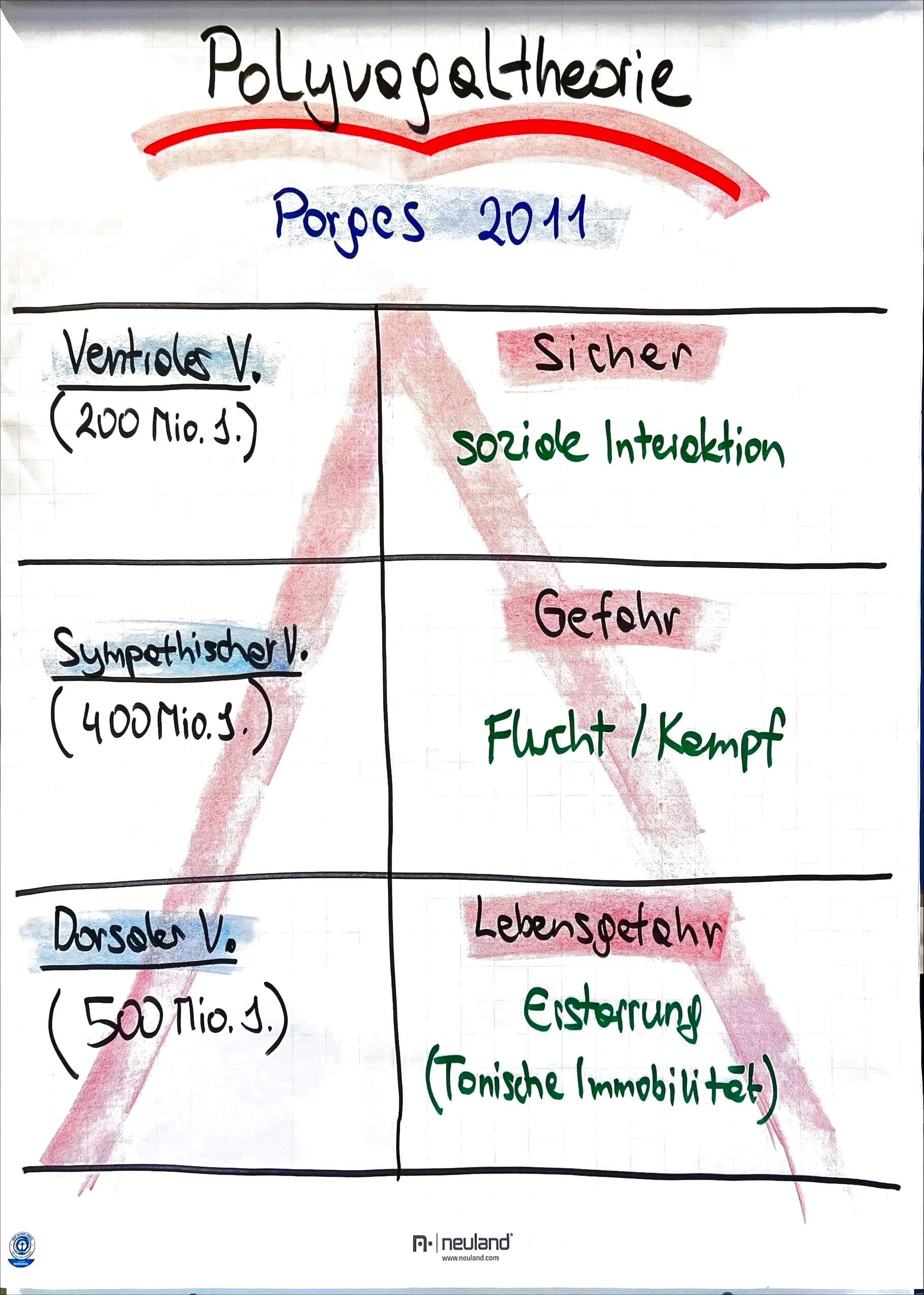 Flipchart: Polyvagaltheorie nach Porges 2011 – ventraler Vagus: sicher, soziale Interaktion; Sympathikus: Gefahr, Flucht/Kampf; dorsaler Vagus: Lebensgefahr, Erstarrung (tonische Immobilität)